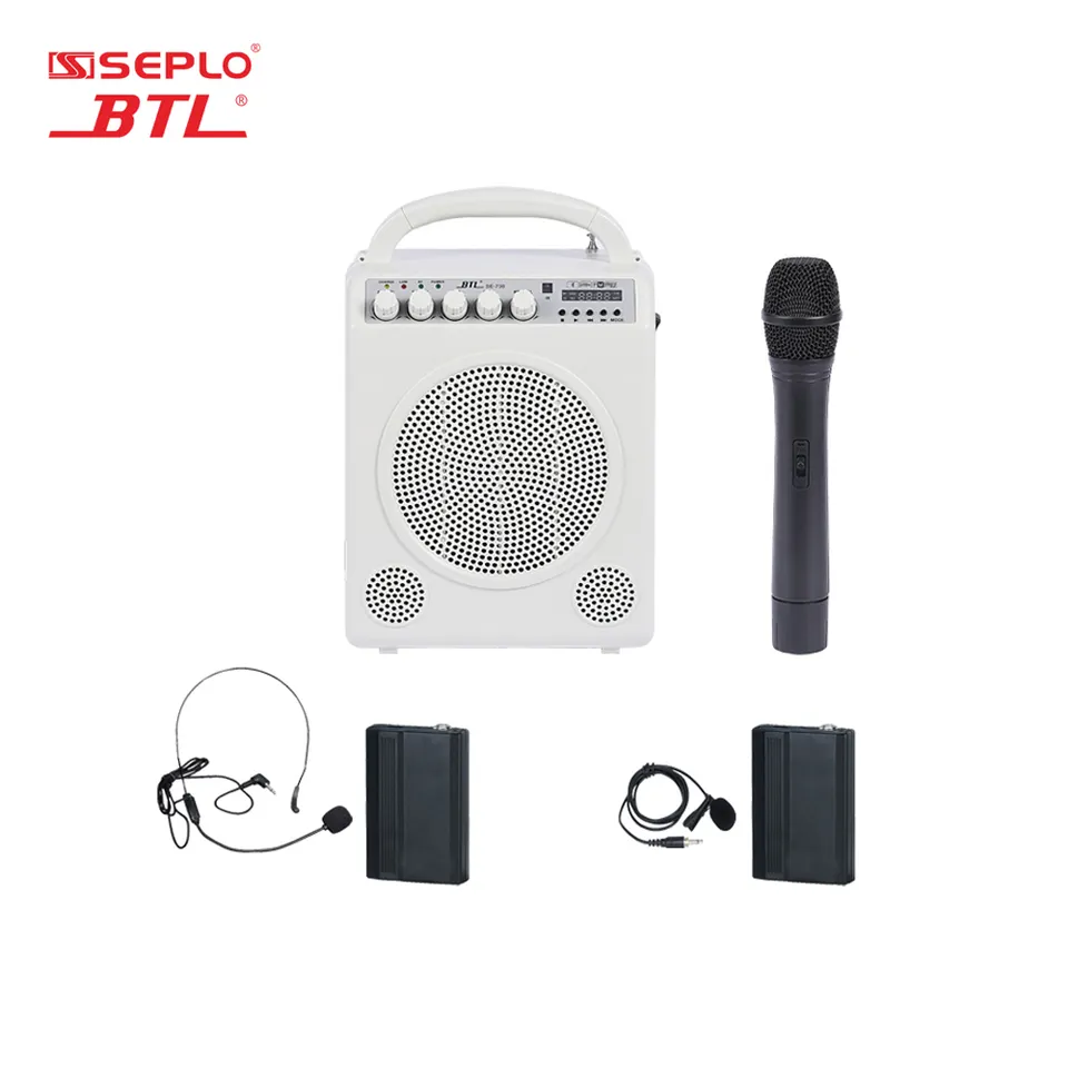 Système professionnel d'amplification portable avec microphone 